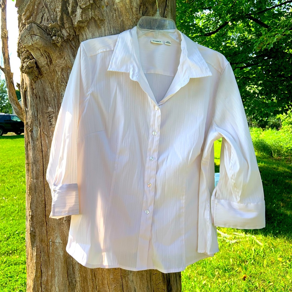 Cato’s formfitting blouse in extra-large